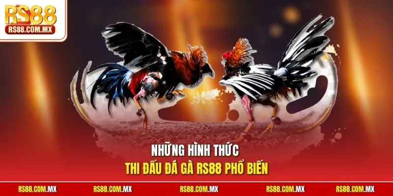 Những hình thức thi đấu đá gà RS88 phổ biến